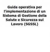 Sistema di Gestione della Salute e Sicurezza sul Lavoro (SGSSL)