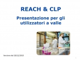 REACH &amp; CLP. Presentazione per gli utilizzatori a valle